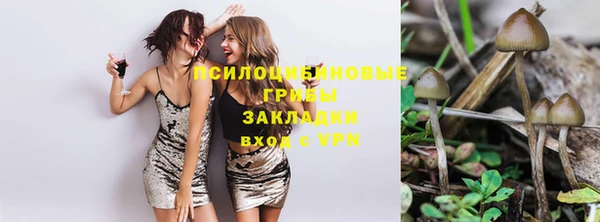 а пвп мука Аркадак
