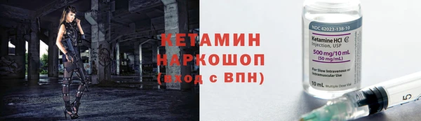шишки Арсеньев