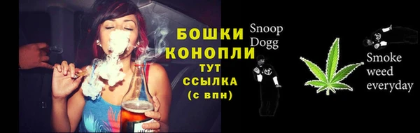 шишки Арсеньев
