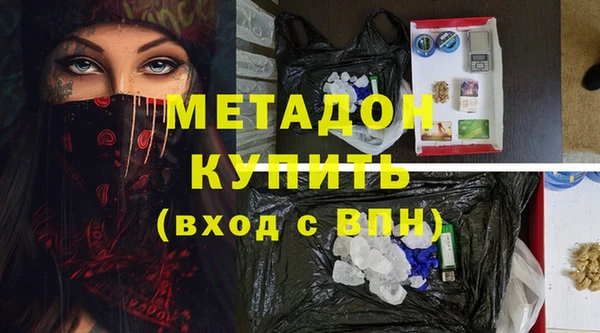 шишки Арсеньев