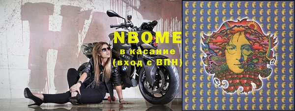 шишки Арсеньев