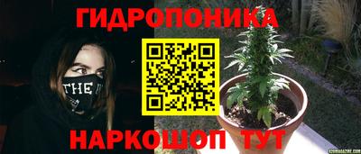 молекула духа Железноводск