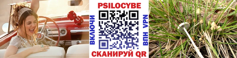 Галлюциногенные грибы MAGIC MUSHROOMS  цена наркотик  Курган 