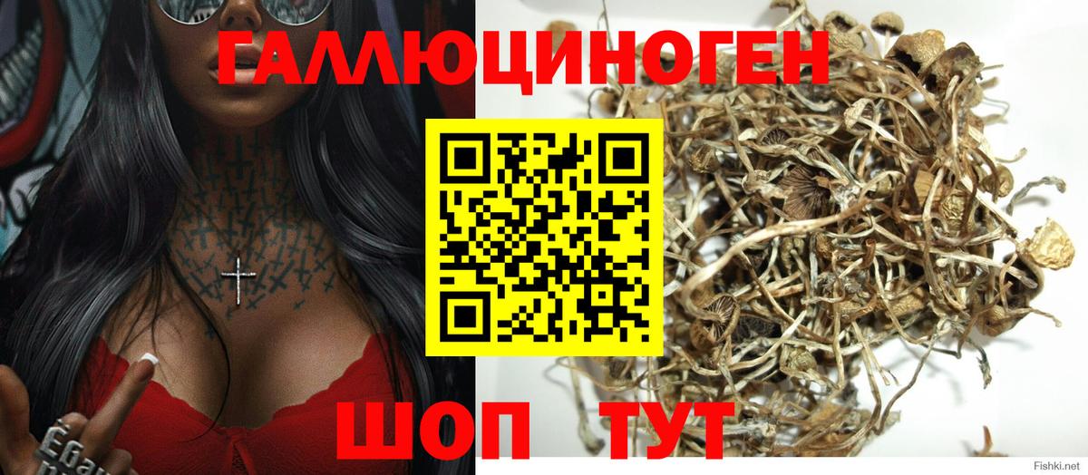 Галлюциногенные грибы MAGIC MUSHROOMS  Галлюциногенные грибы Psilocybine cubensis  Вход с VPN  Курган 
