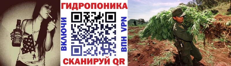 OMG tor  Курган  Канабис конопля 